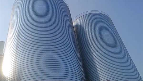 麻栗坡2座混凝土高架卷板仓